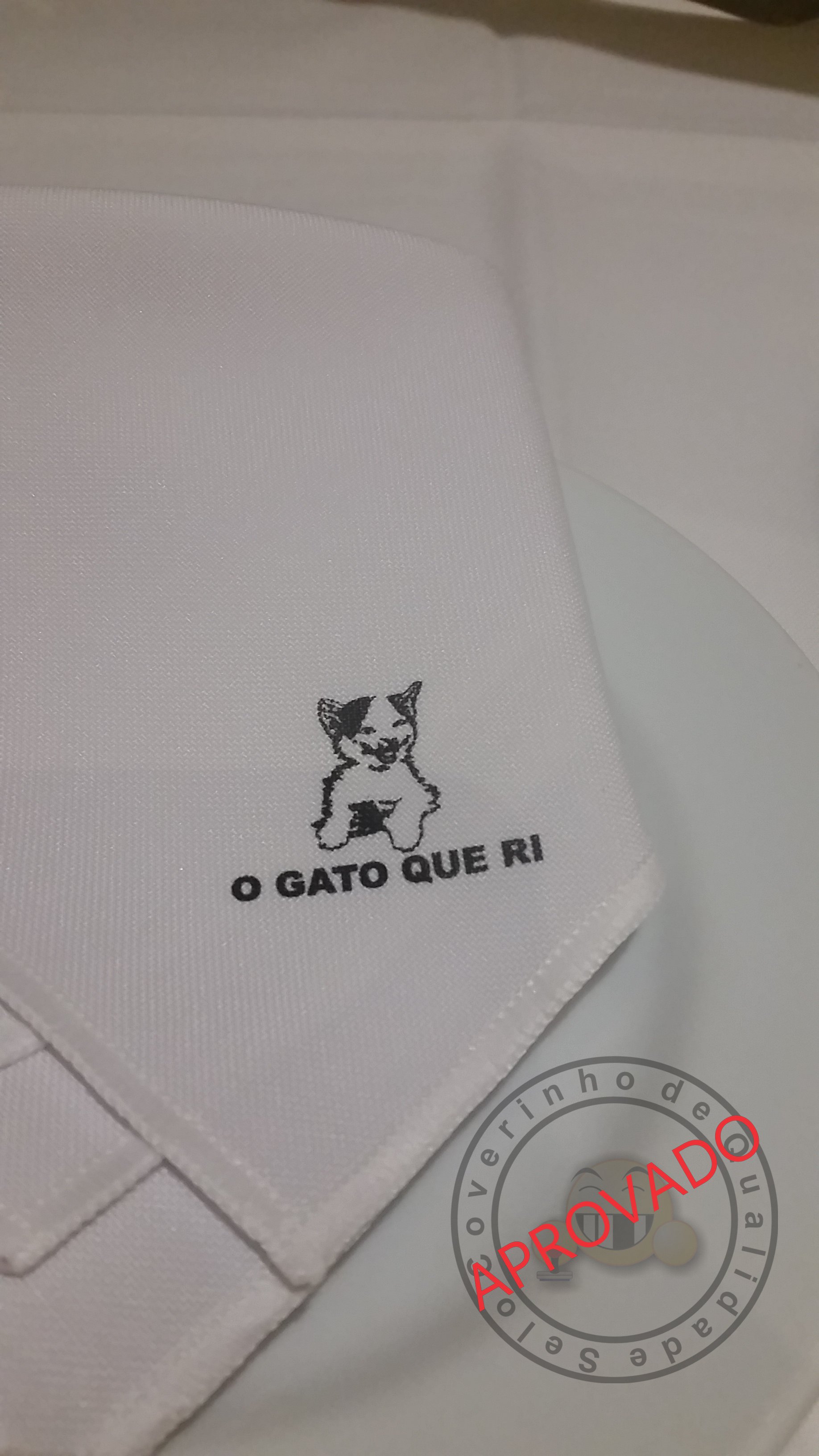 o-gato-que-ri-1