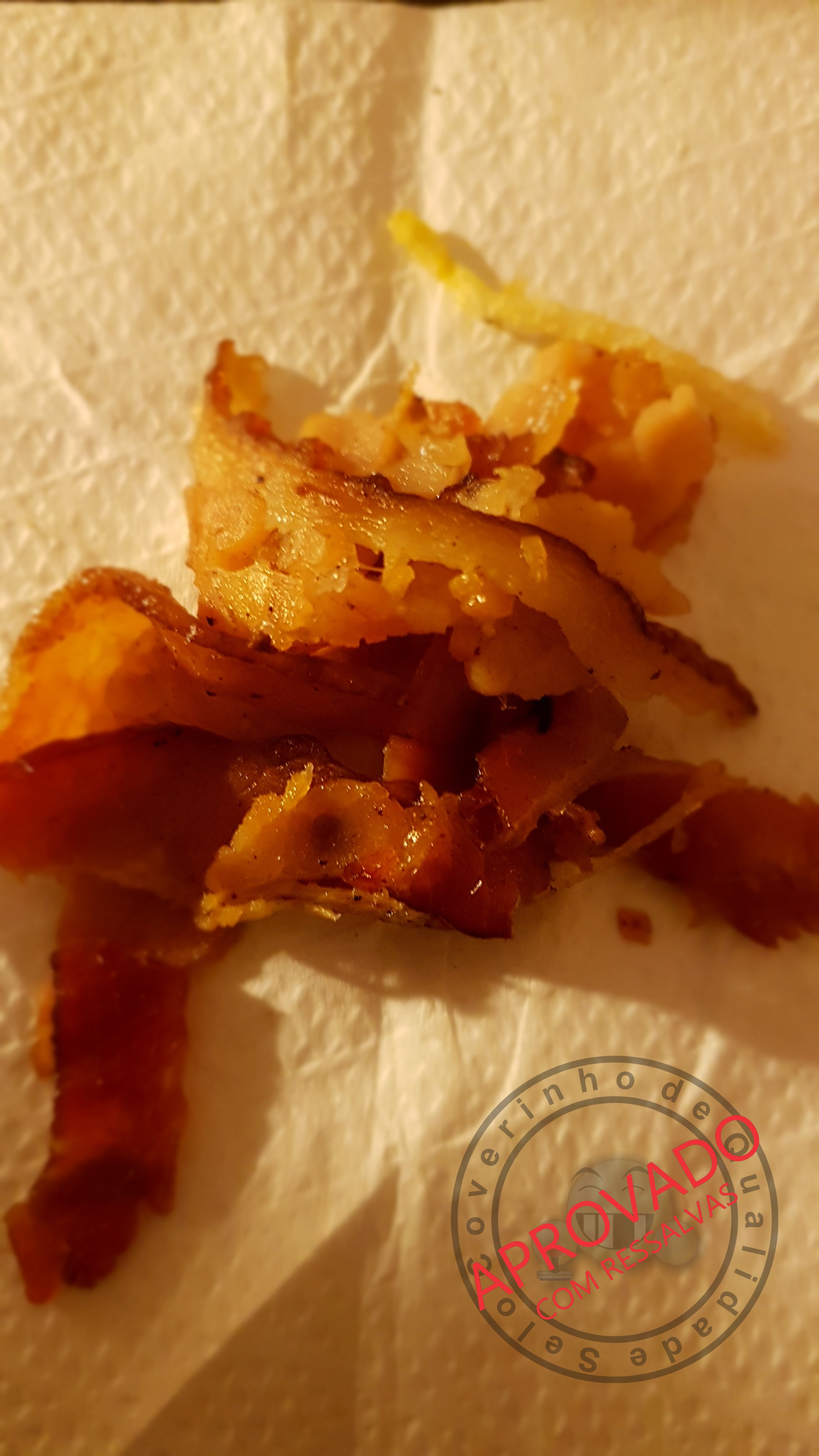 xodo-burguer-aprovado-com-ressalvas-51